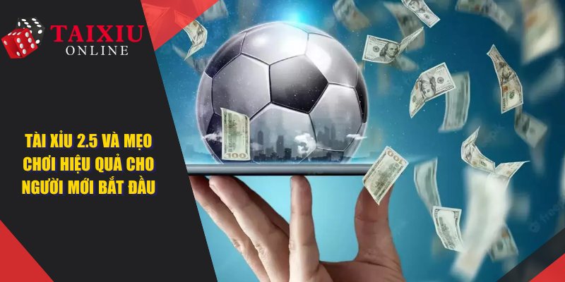 bia web tai xiu 2 5 981 Tài Xỉu 2.5 Và Mẹo Chơi Hiệu Quả Cho Người Chơi Mới Bắt Đầu