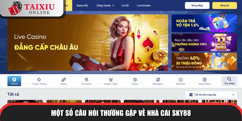 Vấn đáp cùng người chơi