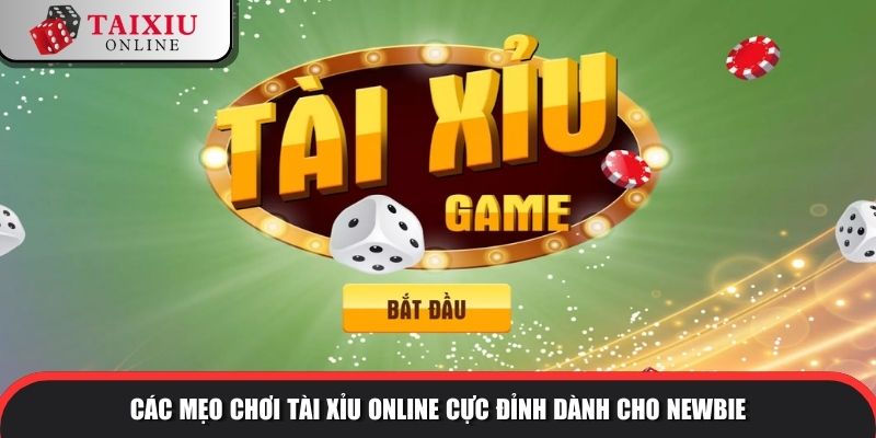 Các mẹo chơi tài xỉu online cực đỉnh dành cho newbie