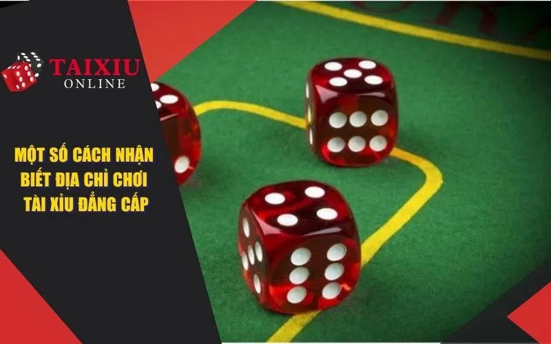 danh tai xiu o dau uy tin hien nay cach nhan biet dia chi choi dang cap 1408 Một số cách nhận biết địa chỉ cá cược game tài xỉu đẳng cấp