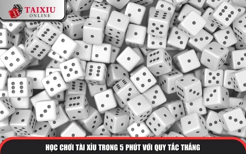 hoc choi tai xiu trong 5 phut voi quy tac thang 1320 Học chơi Tài Xỉu trong 5 phút với quy tắc thắng