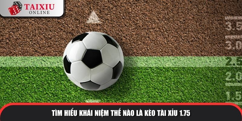 Tìm hiểu khái niệm thế nào là kèo tài xỉu 1.75