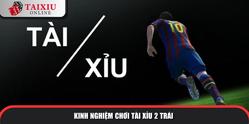 Kinh nghiệm chơi tài xỉu 2 trái