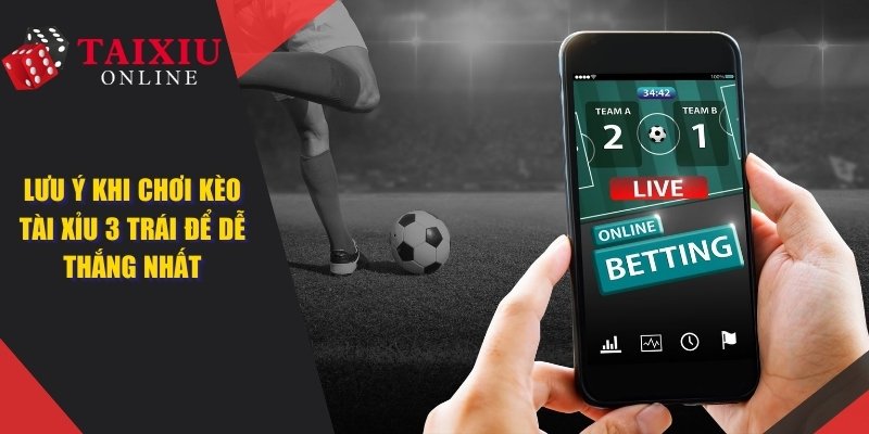 tai xiu 3 trai dai dien 991 Tài Xỉu 3 Trái - Lưu Ý Khi Chơi Kèo Cược Dễ Dành Chiến Thắng