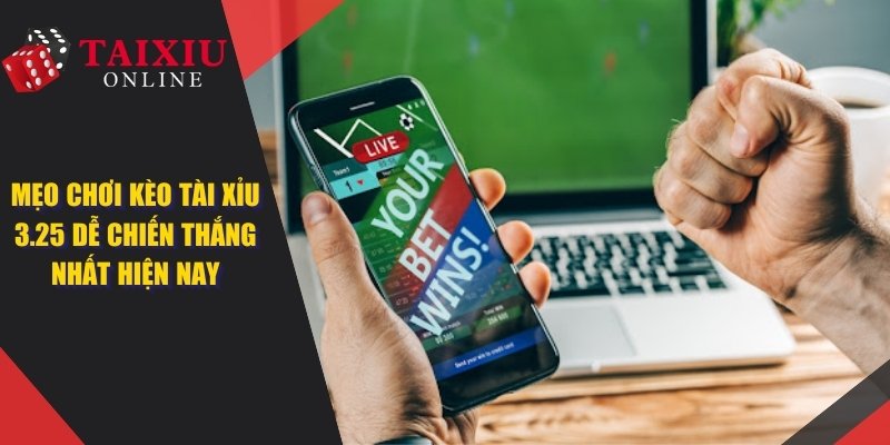 tai xiu 325 dai dien 1362 Mẹo Chơi Kèo Tài Xỉu 3.25 Dễ Chiến Thắng Nhất Hiện Nay