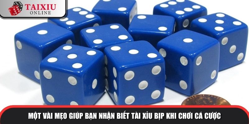 Một vài mẹo giúp bạn nhận biết tài xỉu bịp khi chơi cá cược