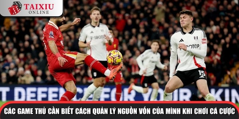 Các game thủ cần biết cách quản lý nguồn vốn của mình khi chơi cá cược