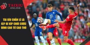 Tài Xỉu Chẵn Lẻ Là Gì? Bí Kíp Chơi Cược Đỉnh Cao Từ Cao Thủ